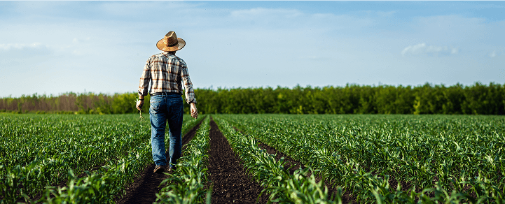 BSF - Empresas - Agroactiva 2026 - Agroinsumos en pesos y dólares - Card