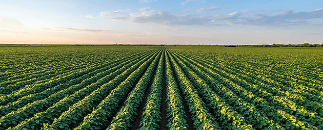 home-fertilizantes